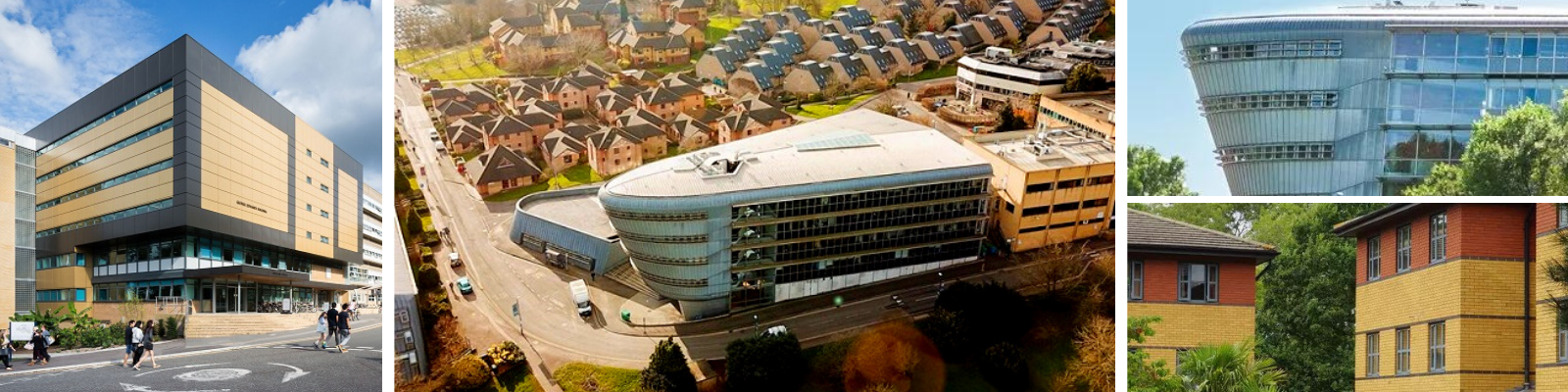 University of Surrey